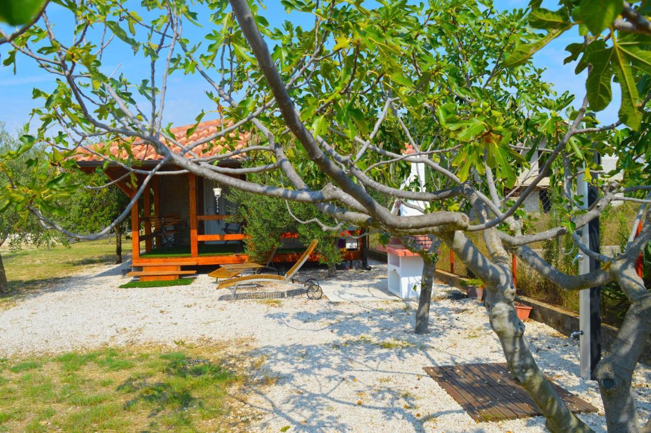 Studio Apartments Luka Biograd - Benkovac Extérieur photo