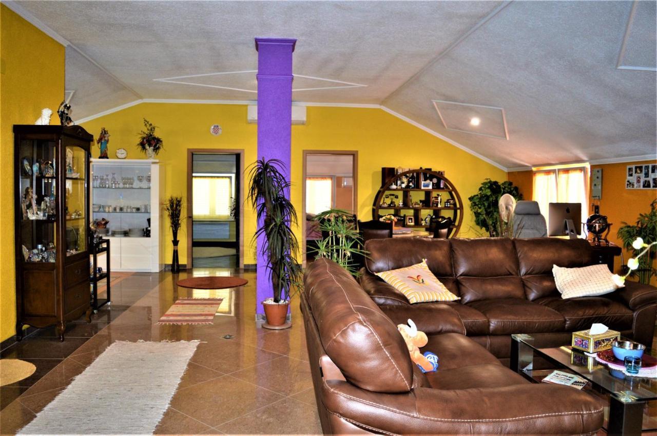 Studio Apartments Luka Biograd - Benkovac Extérieur photo