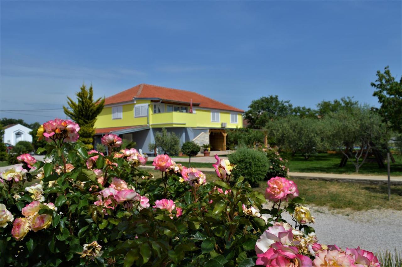 Studio Apartments Luka Biograd - Benkovac Extérieur photo